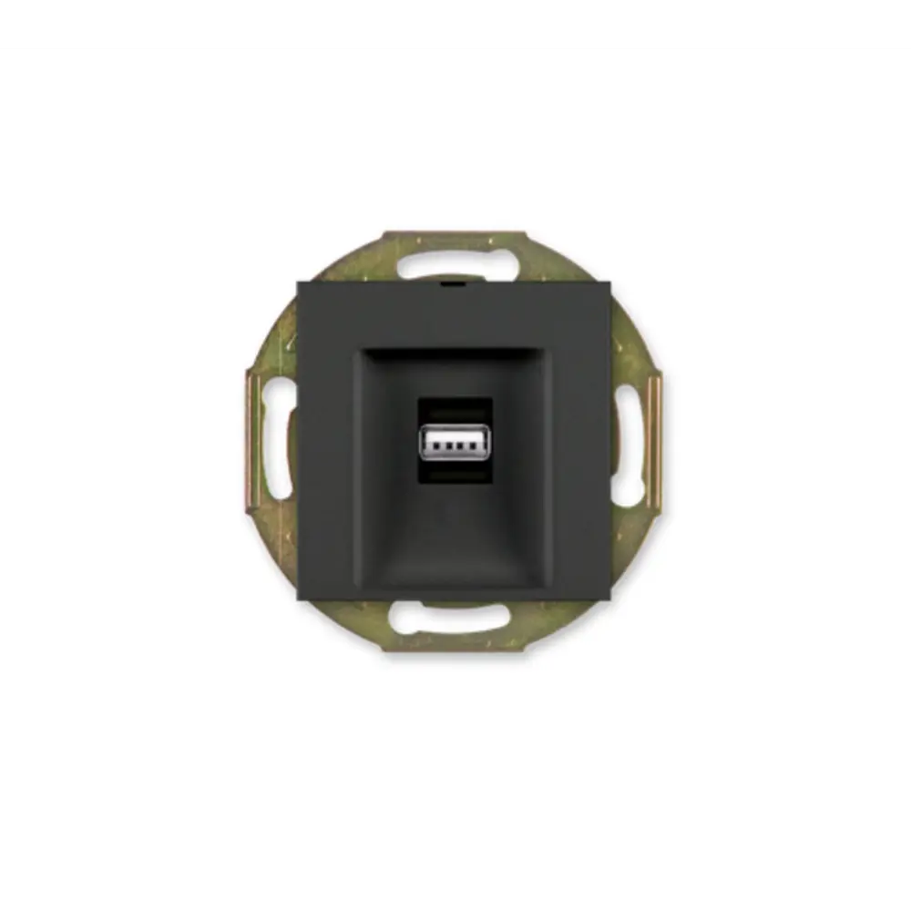 Фото Розетка USB встраиваемая Aling-conel Prestige 60162.E1 цвет чёрный soft touch Фото Розетка USB встраиваемая Aling-conel Prestige 60162.E1 цвет чёрный soft touch