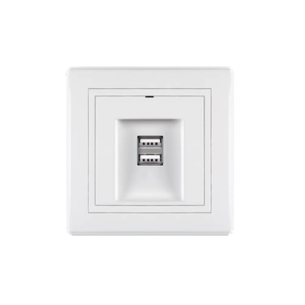 Фото 3 Розетка USB двойная встраиваемая Aling-conel Prestige 60161.0 цвет белый Фото 3 Розетка USB двойная встраиваемая Aling-conel Prestige 60161.0 цвет белый