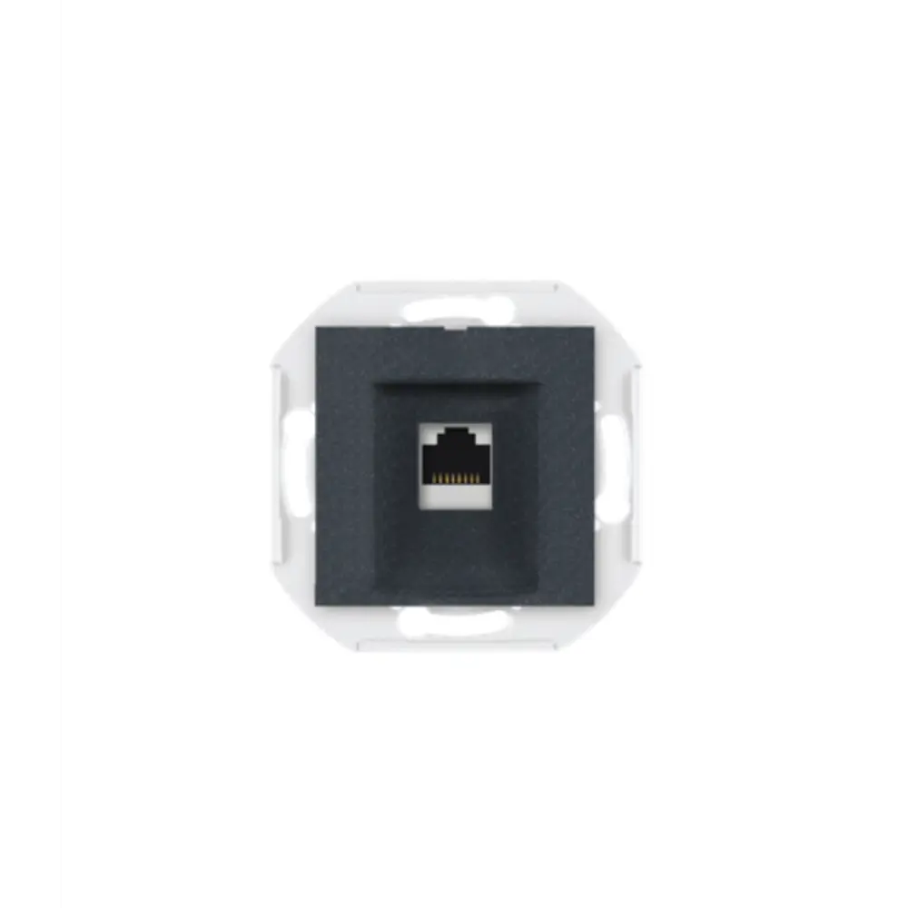 Фото Розетка компьютерная встраиваемая Aling-conel Prestige 6016.2 RJ45 Cat 6А UTP цвет графитовый Фото Розетка компьютерная встраиваемая Aling-conel Prestige 6016.2 RJ45 Cat 6А UTP цвет графитовый
