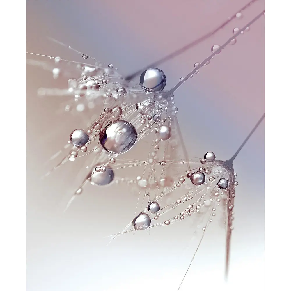 Фото 3 Тюль для кухни на шторной ленте At Home Трезин 150x180 см цвет синий, голубой Фото 3 Тюль для кухни на шторной ленте At Home Трезин 150x180 см цвет синий, голубой