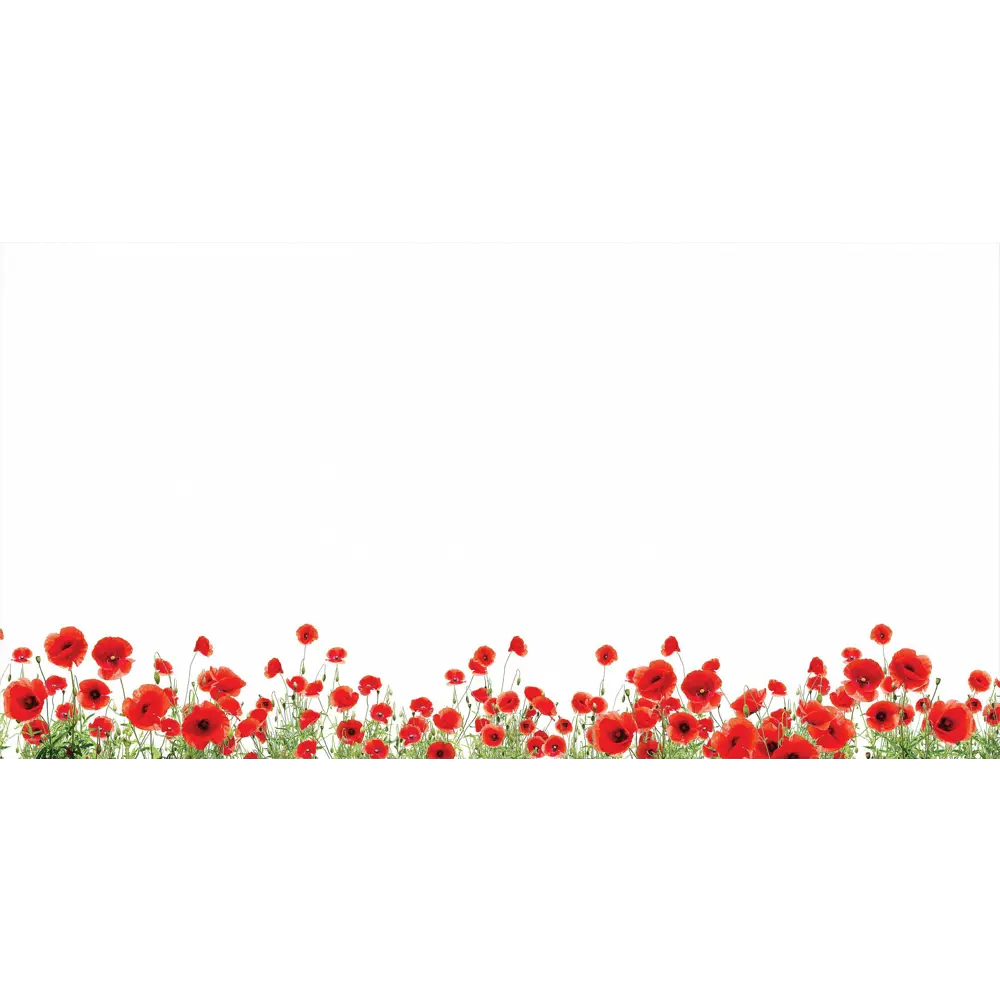 Фото 2 Тюль на шторной ленте для кухни Helga Танациум 300x150 см цвет белый Фото 2 Тюль на шторной ленте для кухни Helga Танациум 300x150 см цвет белый