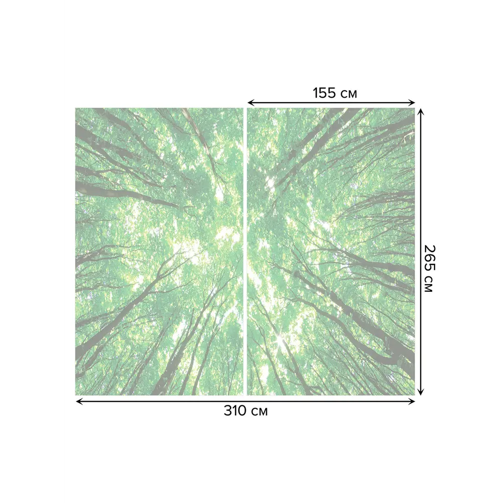 Фото 3 Тюль Joyarty на шторной ленте Лес тянется к небу 310x265 см рисунок природный цвет зеленый Фото 3 Тюль Joyarty на шторной ленте Лес тянется к небу 310x265 см рисунок природный цвет зеленый