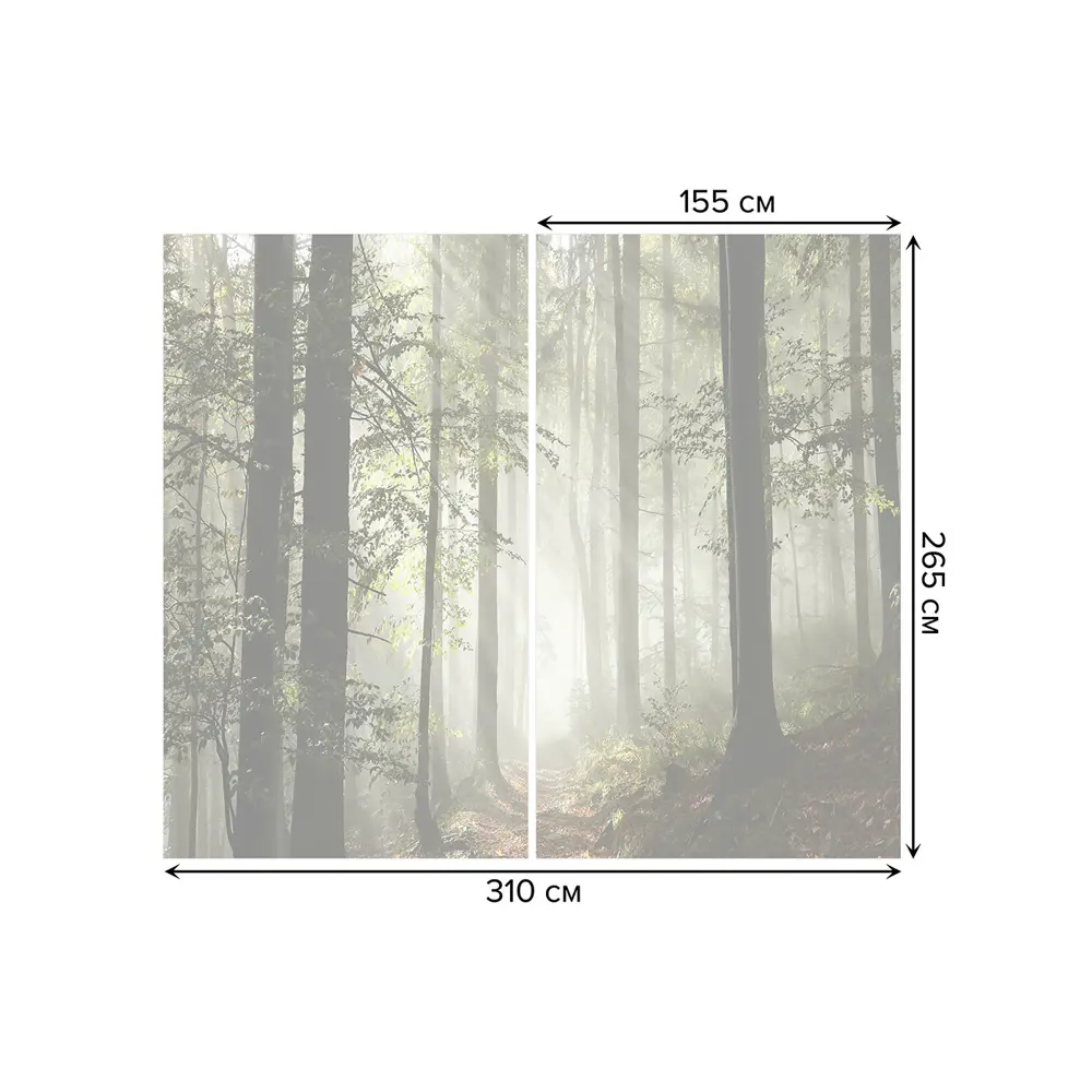 Фото 3 Тюль Joyarty на шторной ленте Лес в тумане 310x265 см рисунок природный цвет зеленый Фото 3 Тюль Joyarty на шторной ленте Лес в тумане 310x265 см рисунок природный цвет зеленый