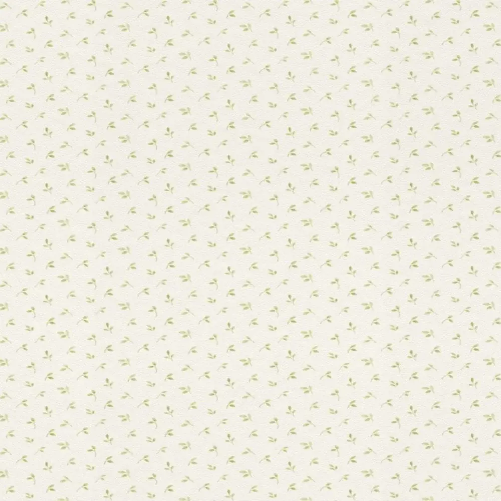 Фото Обои флизелиновые Rasch Textil Petite Fleur зеленые 0.53 м 289144 Фото Обои флизелиновые Rasch Textil Petite Fleur зеленые 0.53 м 289144