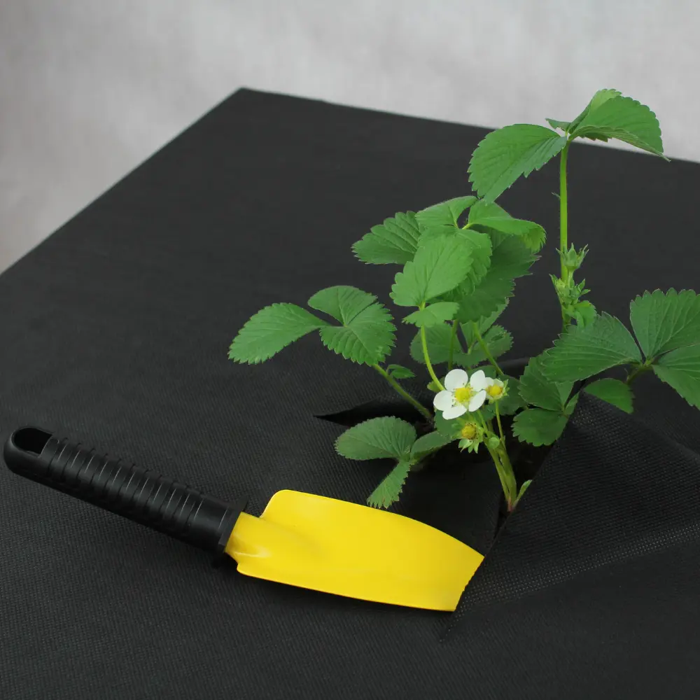 Фото 5 Укрывной материал Агротекс 60 г/м² 0.8 м x 10 м черный материал полипропилен Фото 5 Укрывной материал Агротекс 60 г/м² 0.8 м x 10 м черный материал полипропилен