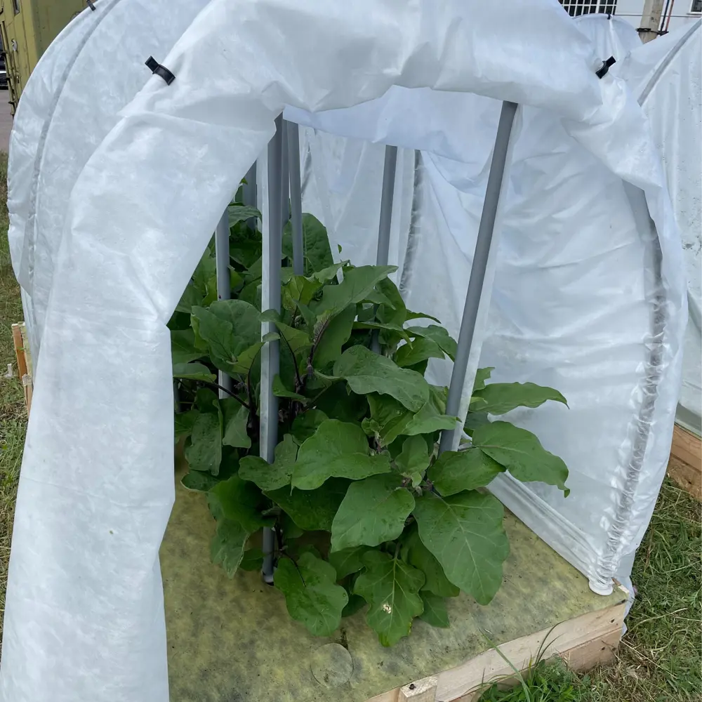 Фото 5 Укрывной материал Агротекс 55 г/м² 2.1 м x 6 м белый полипропилен