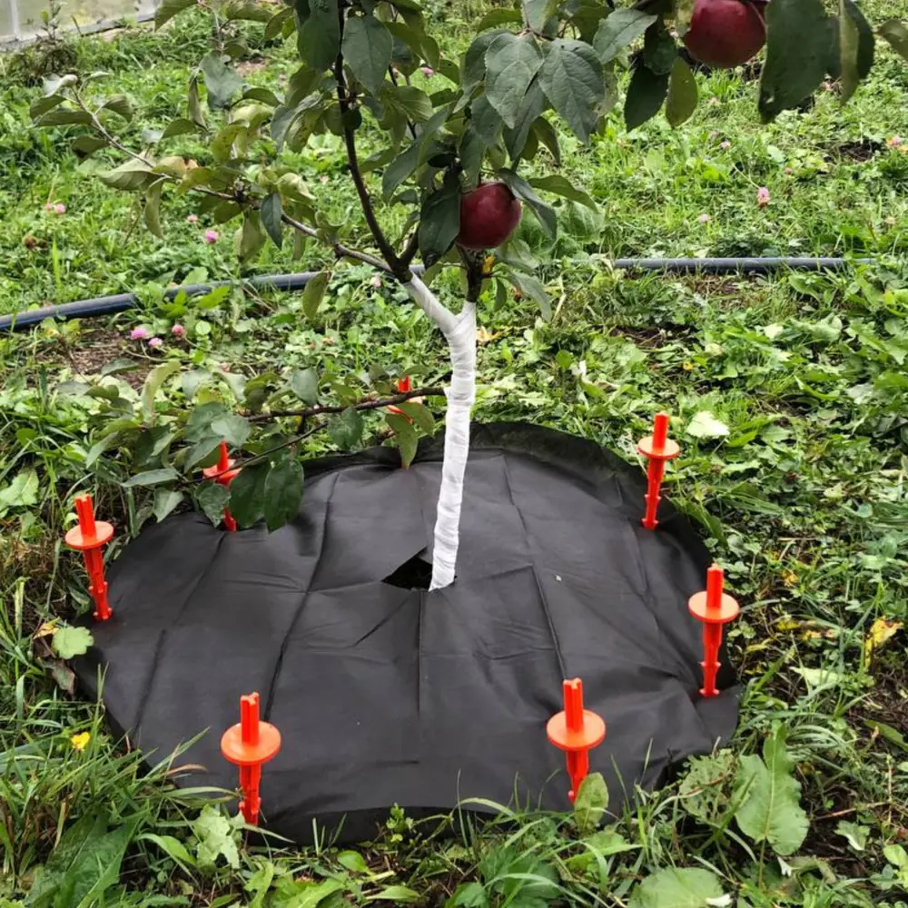 Фото 6 Приствольный круг Агротекс 60 г/м² 0.8 м x 0.8 м черный полипропилен