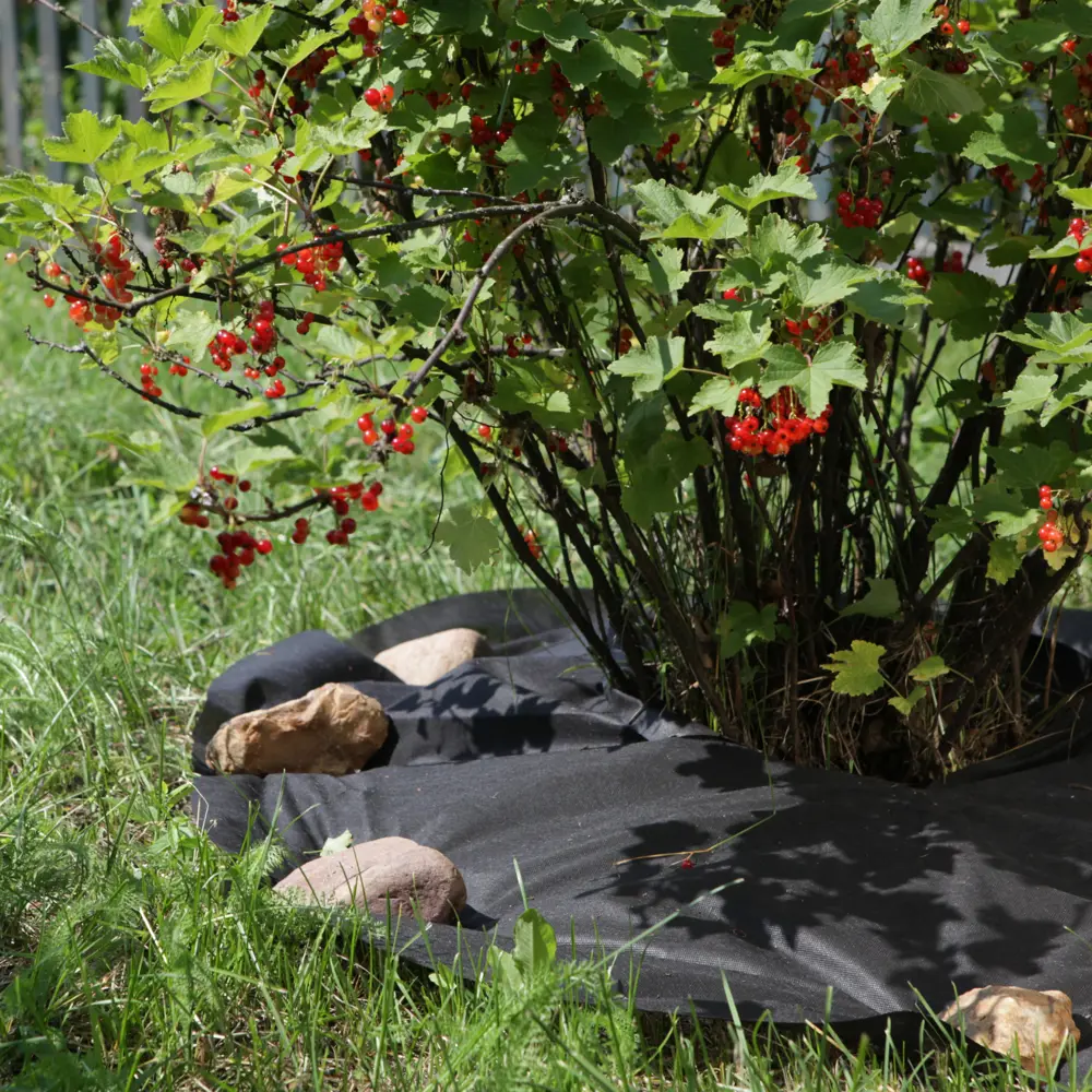 Фото 5 Приствольный круг Агротекс 60 г/м² 1 м x 1 м черный полипропилен