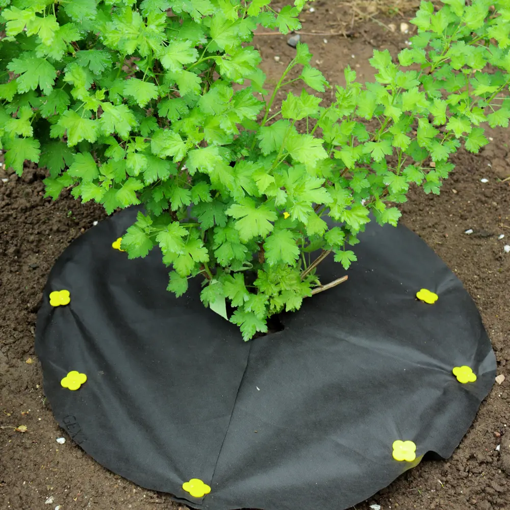 Фото 4 Приствольный круг Агротекс 60 г/м² 1 м x 1 м черный полипропилен