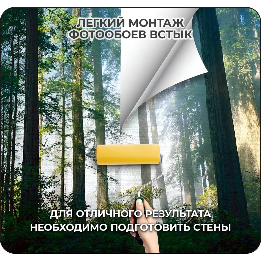 Фото Фотообои флизелиновые 3D Verol 300x283 см Лес Туман Свет Фото Фотообои флизелиновые 3D Verol 300x283 см Лес Туман Свет