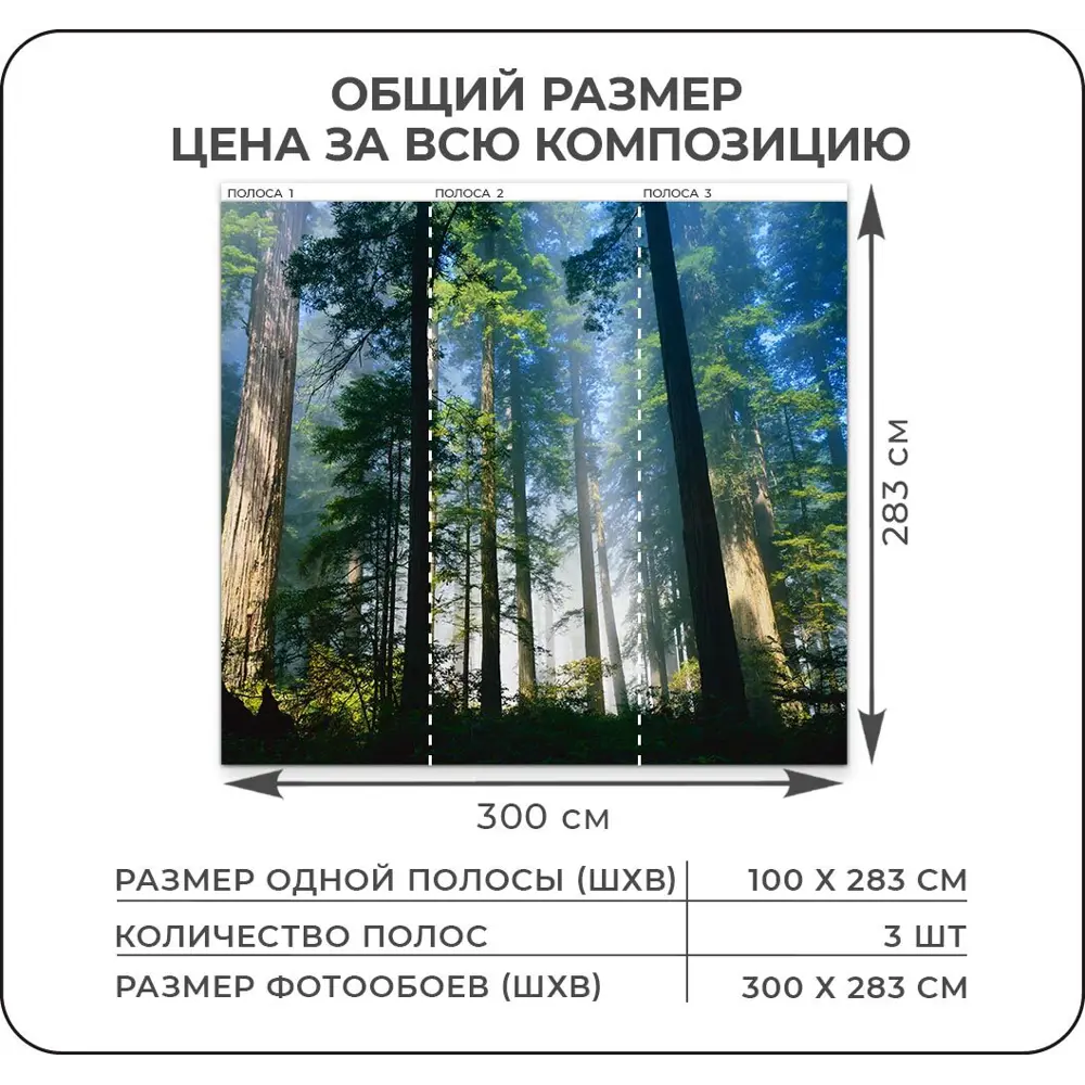 Фото 2 Фотообои флизелиновые 3D Verol 300x283 см Лес Туман Свет Фото 2 Фотообои флизелиновые 3D Verol 300x283 см Лес Туман Свет