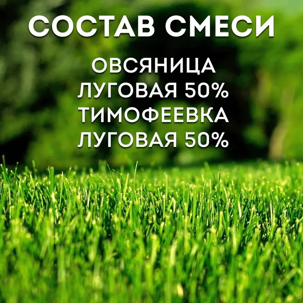 Фото 5 Газон универсальный Зеленый Уголок Озеленитель 1 кг Фото 5 Газон универсальный Зеленый Уголок Озеленитель 1 кг