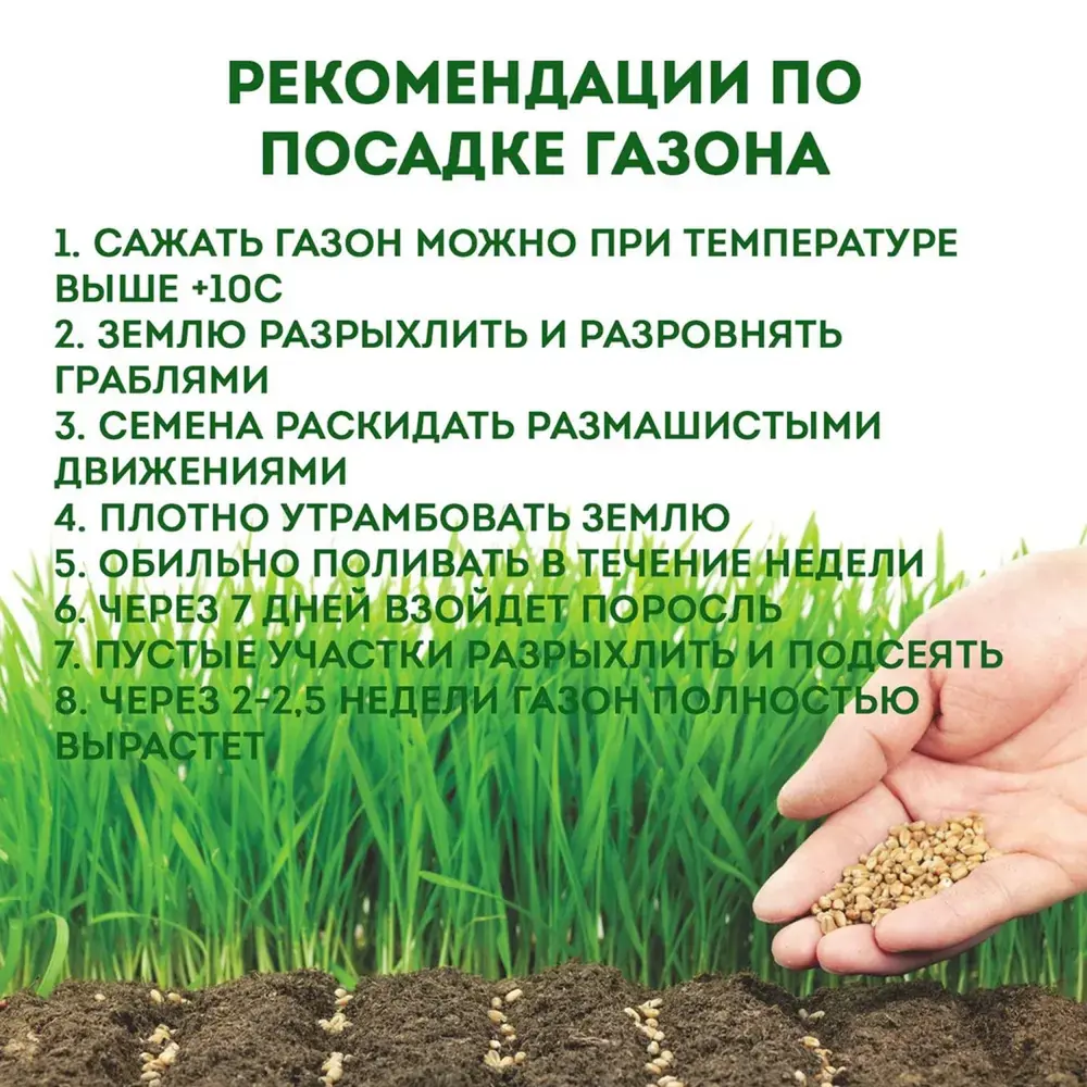 Фото 4 Газон универсальный Зеленый Уголок Детская Игровая 0.5 кг Фото 4 Газон универсальный Зеленый Уголок Детская Игровая 0.5 кг