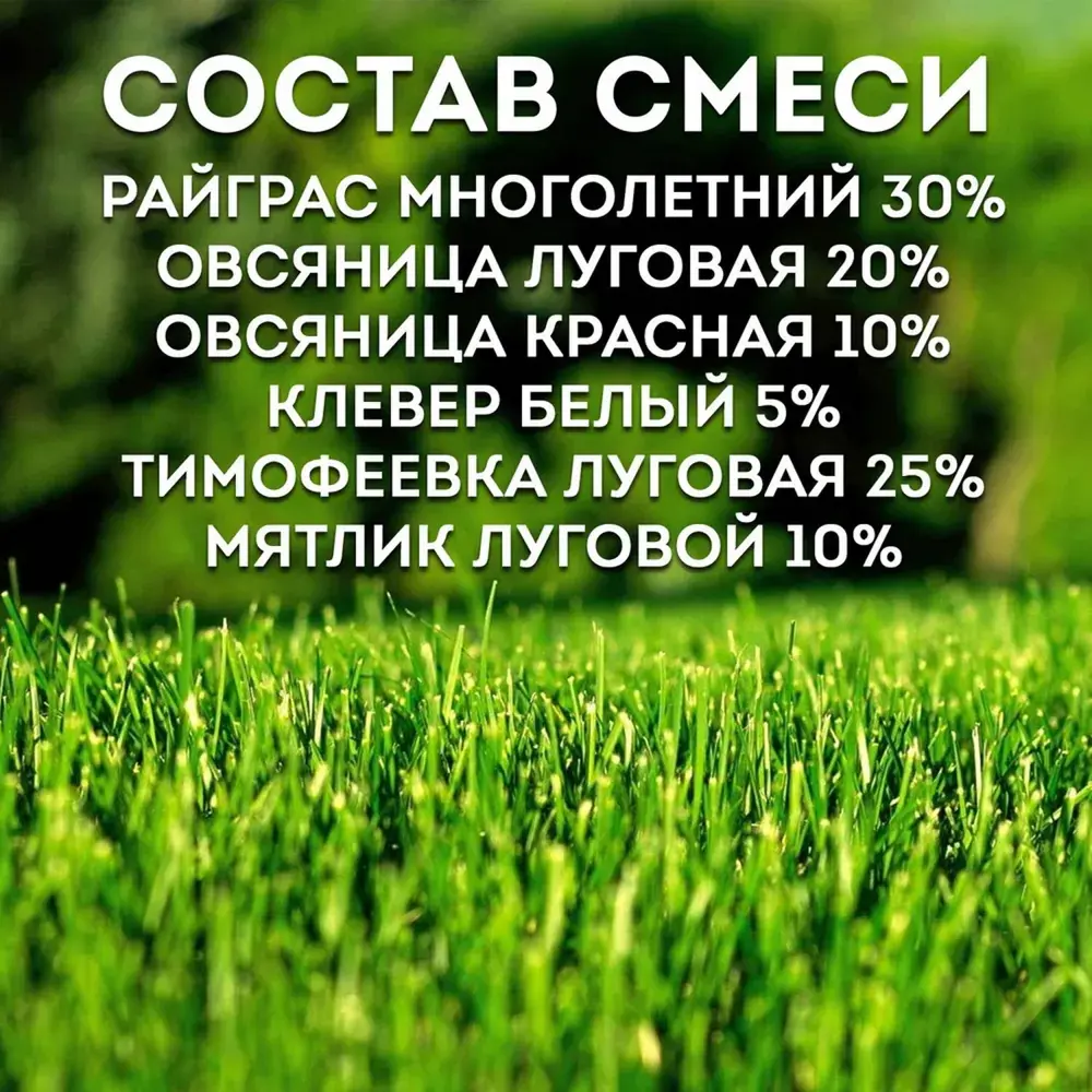 Фото 5 Газон универсальный Зеленый Уголок Детская Игровая 08 кг Фото 5 Газон универсальный Зеленый Уголок Детская Игровая 08 кг