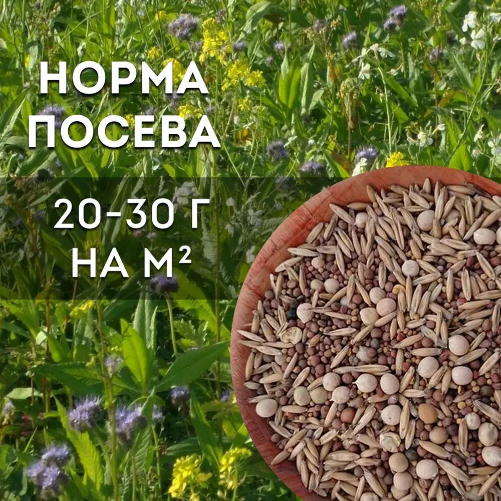 Фото 4 Семена Зеленый Уголок Смесь сидератов для отдыха почвы 5 кг 4660001295896 Фото 4 Семена Зеленый Уголок Смесь сидератов для отдыха почвы 5 кг 4660001295896