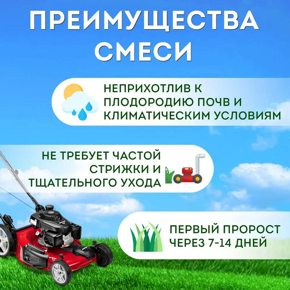 Фото 3 Семена газона медленнорастущий Лилипут 2 шт х 8 кг Фото 3 Семена газона медленнорастущий Лилипут 2 шт х 8 кг
