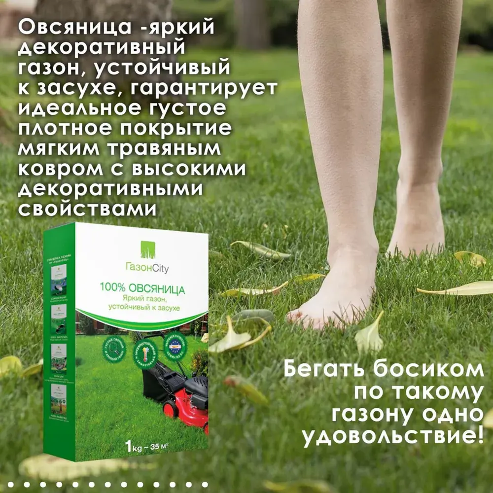 Фото 4 Семена газона ГазонCity 100% Овсяница 12 шт по 1 кг Фото 4 Семена газона ГазонCity 100% Овсяница 12 шт по 1 кг