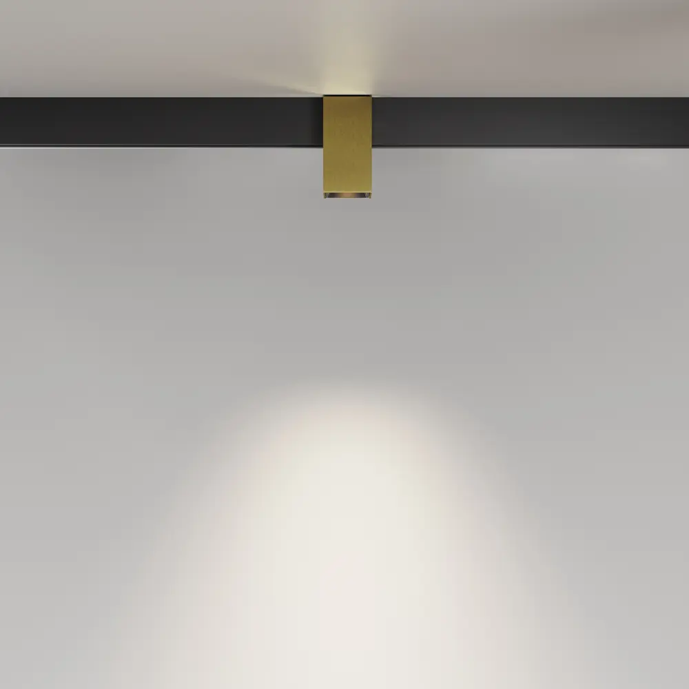 Фото 4 Трековый светильник спот светодиодный Maytoni Tr121-2-7w4k-bs 7 Вт 3 м² цвет жёлтый/золотой