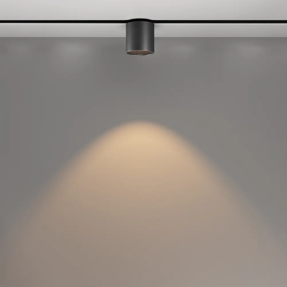 Фото 4 Трековый светильник спот светодиодный Maytoni Tr132-2-7w3k-b 7 Вт 3 м² цвет черный Фото 4 Трековый светильник спот светодиодный Maytoni Tr132-2-7w3k-b 7 Вт 3 м² цвет черный