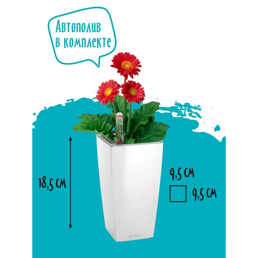 Фото Кашпо Mini cubi Lechuza d 9.5 см 18.5 см 0.8 л пластик белый с автополивом Фото Кашпо Mini cubi Lechuza d 9.5 см 18.5 см 0.8 л пластик белый с автополивом