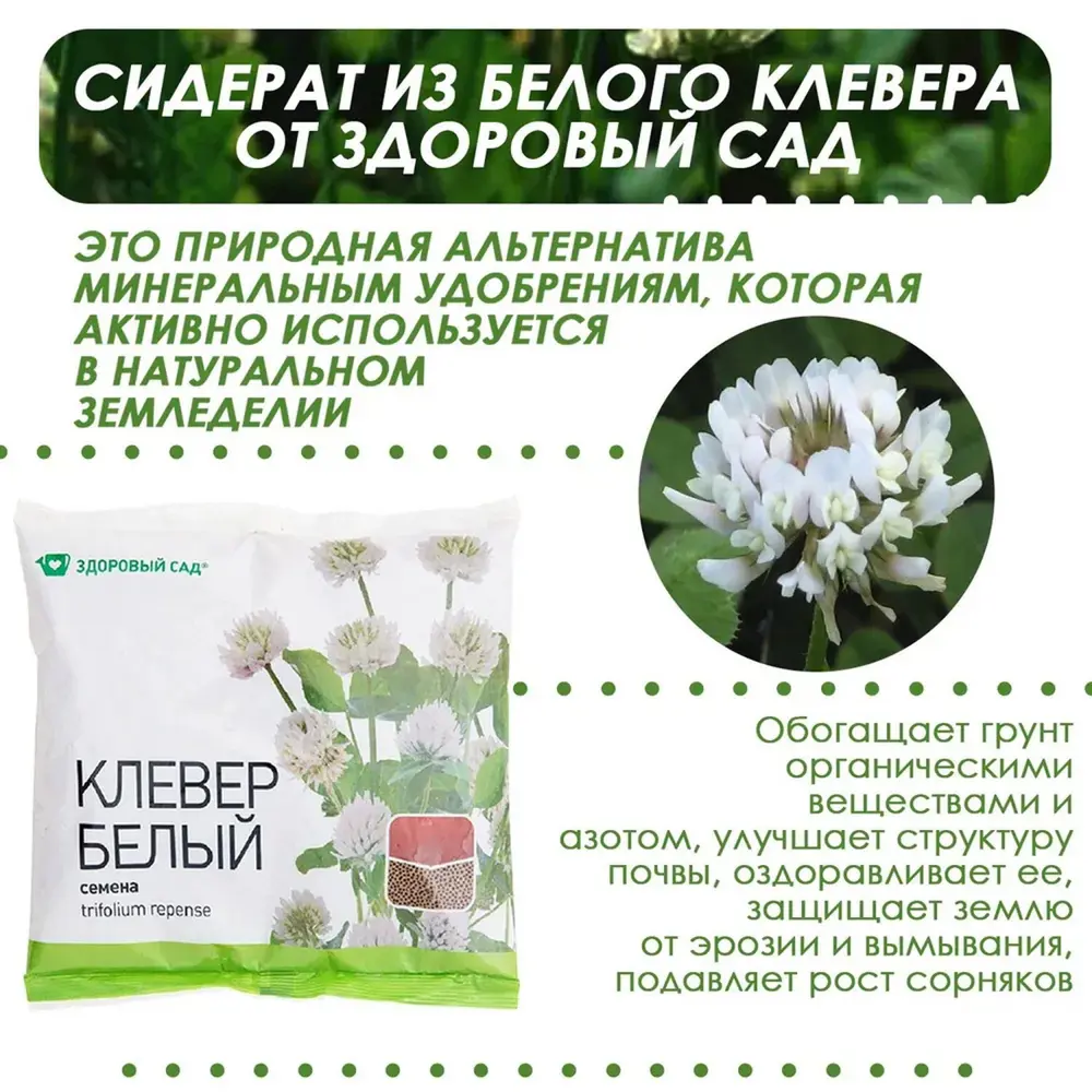 Фото 4 Семена Здоровый сад Клевер белый 15 шт по 500 г