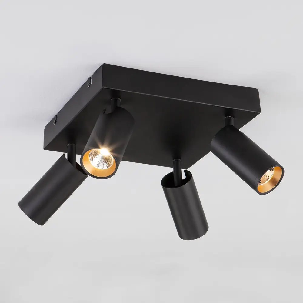 Фото 2 Светильник потолочный светодиодный EUROSVET 20066/4 LED Fleur 00000085110 10 м² нейтральный белый свет цвет черный Фото 2 Светильник потолочный светодиодный EUROSVET 20066/4 LED Fleur 00000085110 10 м² нейтральный белый свет цвет черный