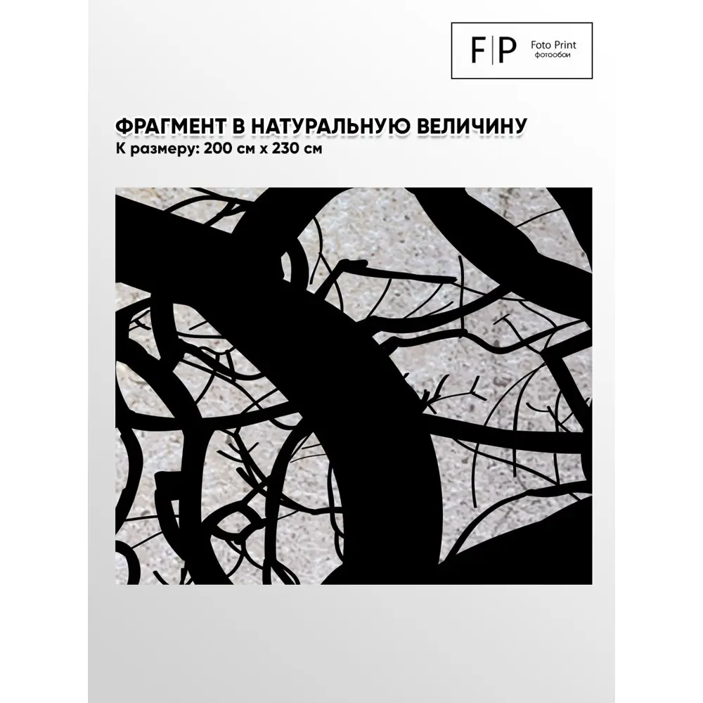 Фото 7 Фотообои флизелиновые Foto print Черно-белые деревья 200x230 см 04-195-А-2-2.3