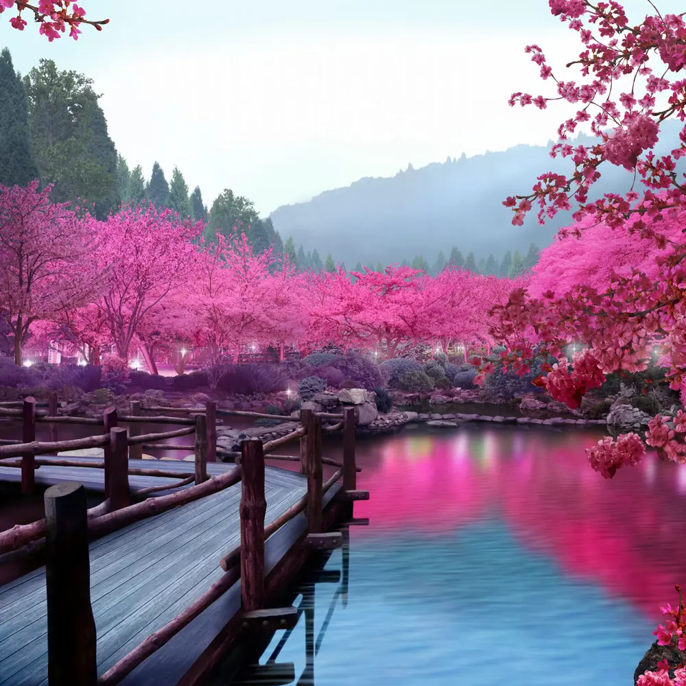 Фото 4 Фотообои флизелиновые Foto print Цветущая сакура у озера 300x300 см 19-007-А-3-3 Фото 4 Фотообои флизелиновые Foto print Цветущая сакура у озера 300x300 см 19-007-А-3-3