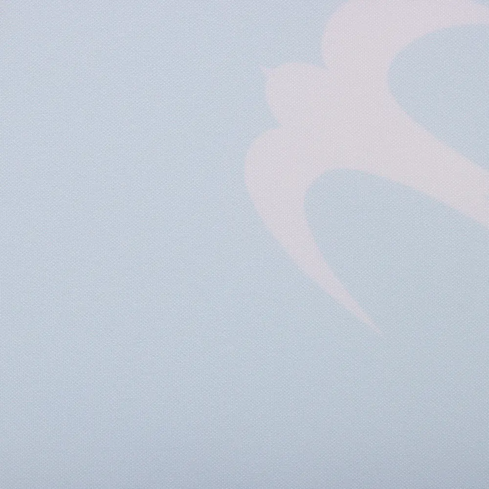 Фото 3 Рулонная штора Prakto Print 60x160 см цвет голубой