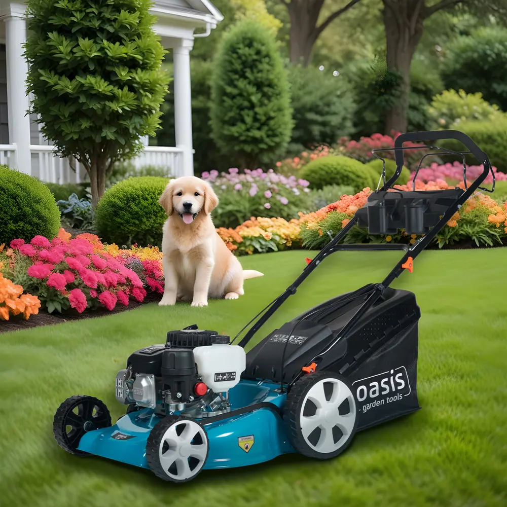 Фото 21 Газонокосилка бензиновая самоходная Oasis Garden Tools GB-27 5 л.с. 46 см Фото 21 Газонокосилка бензиновая самоходная Oasis Garden Tools GB-27 5 л.с. 46 см