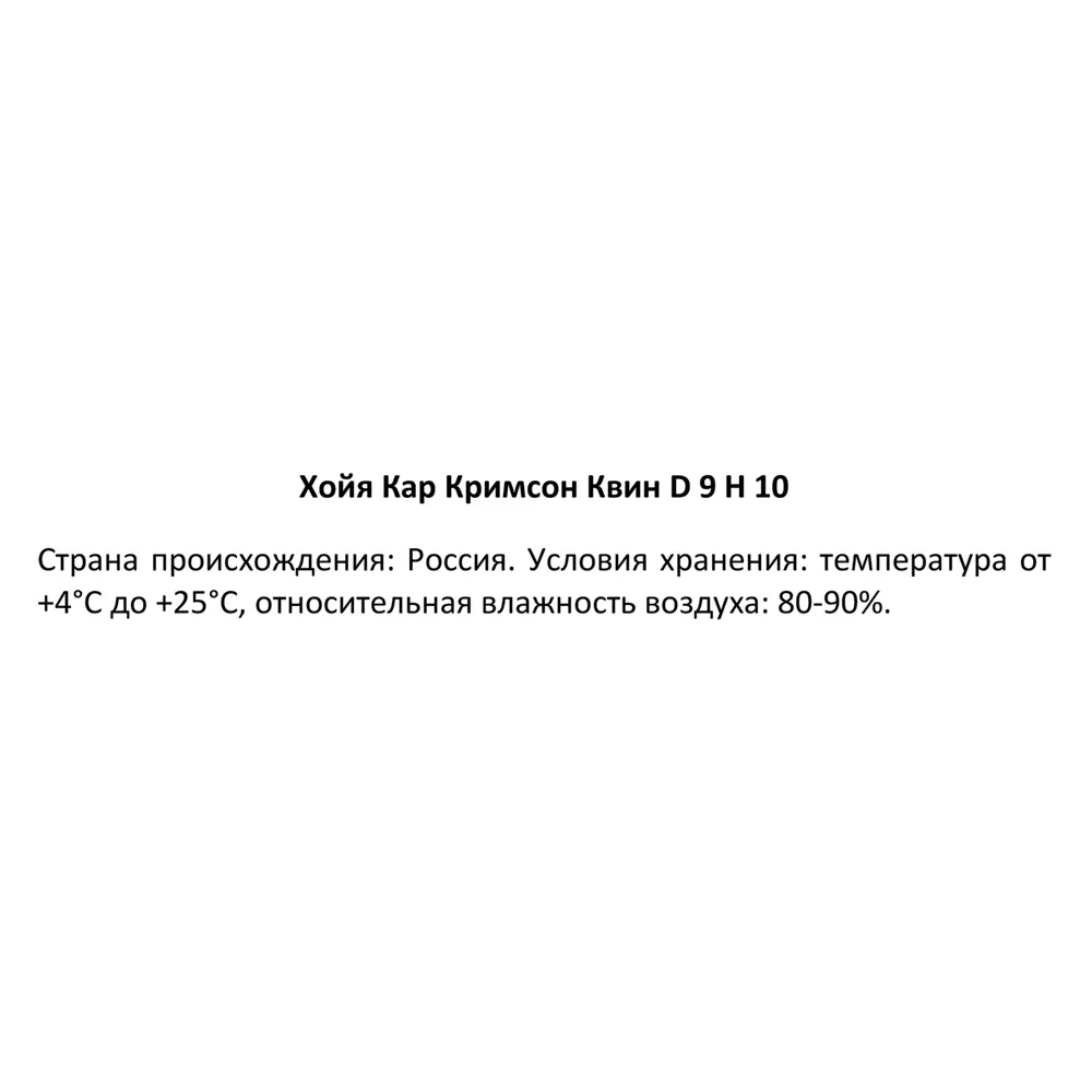 Фото 3 Хойя Карноза Кримсон Квин ø9 h10 см Фото 3 Хойя Карноза Кримсон Квин ø9 h10 см