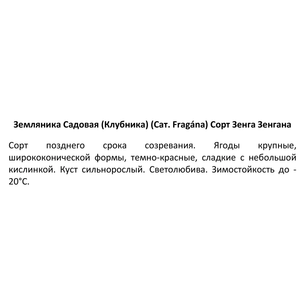 Фото 3 Земляника микс ø6 h5 см 6 шт. Фото 3 Земляника микс ø6 h5 см 6 шт.