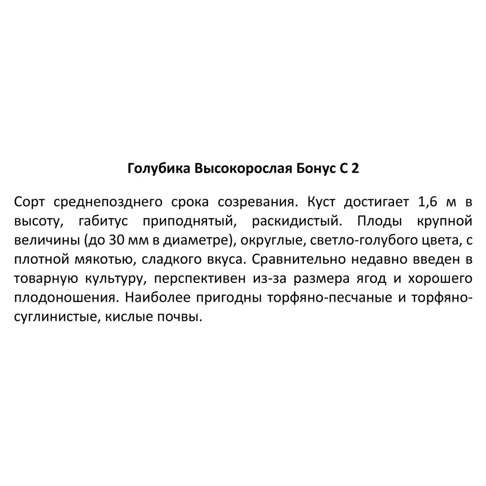 Фото 3 Голубика высокорослая «Бонус», контейнер 2 л Фото 3 Голубика высокорослая «Бонус», контейнер 2 л