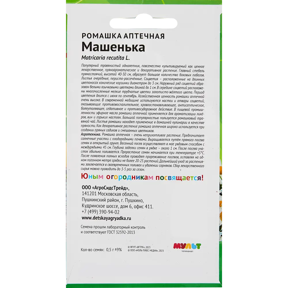 Фото 2 Семена Ми-ми-мишки ромашка аптечная Машенька Фото 2 Семена Ми-ми-мишки ромашка аптечная Машенька