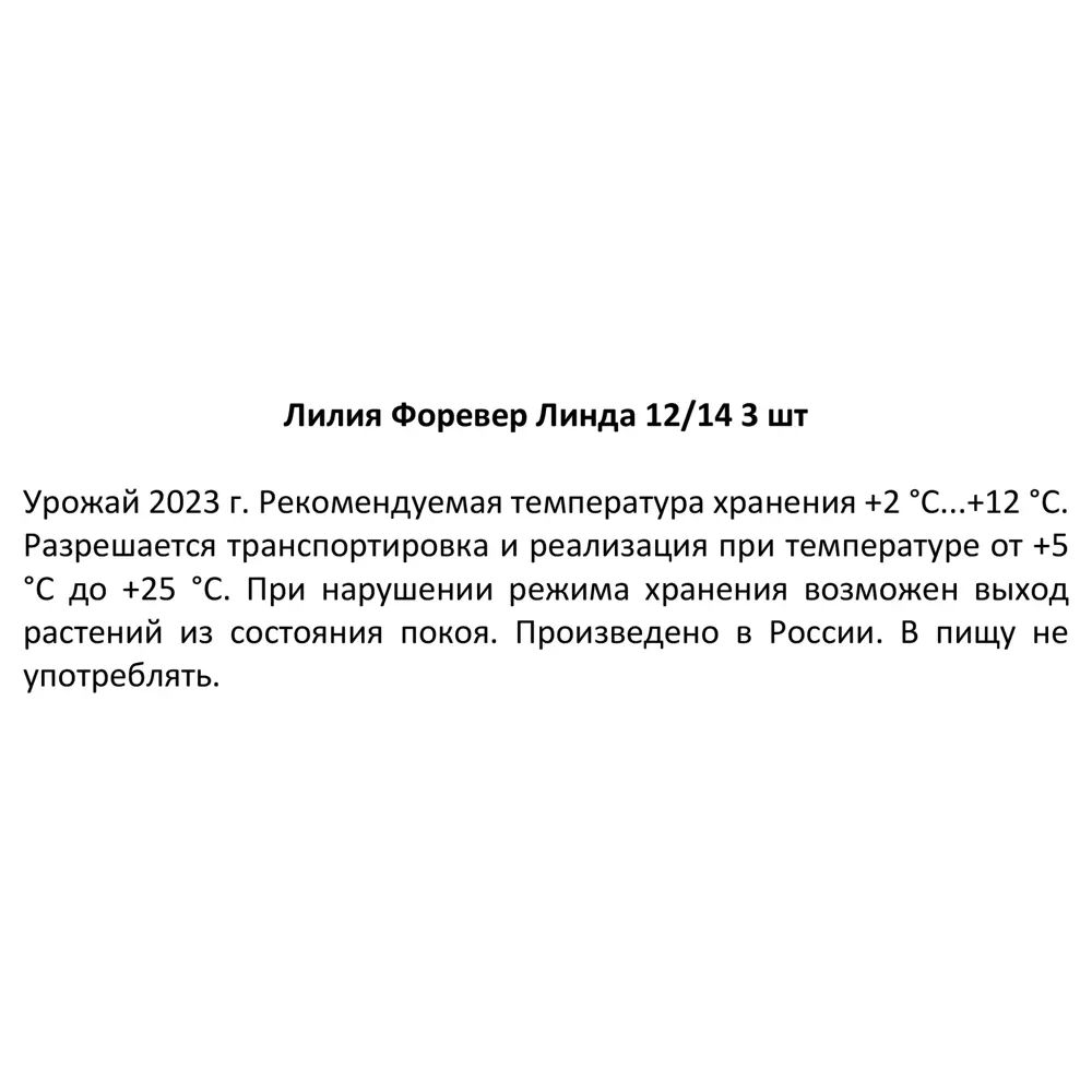 Фото 3 Лилия Форевер Линда луковицы 12/14, 3 шт. Фото 3 Лилия Форевер Линда луковицы 12/14, 3 шт.