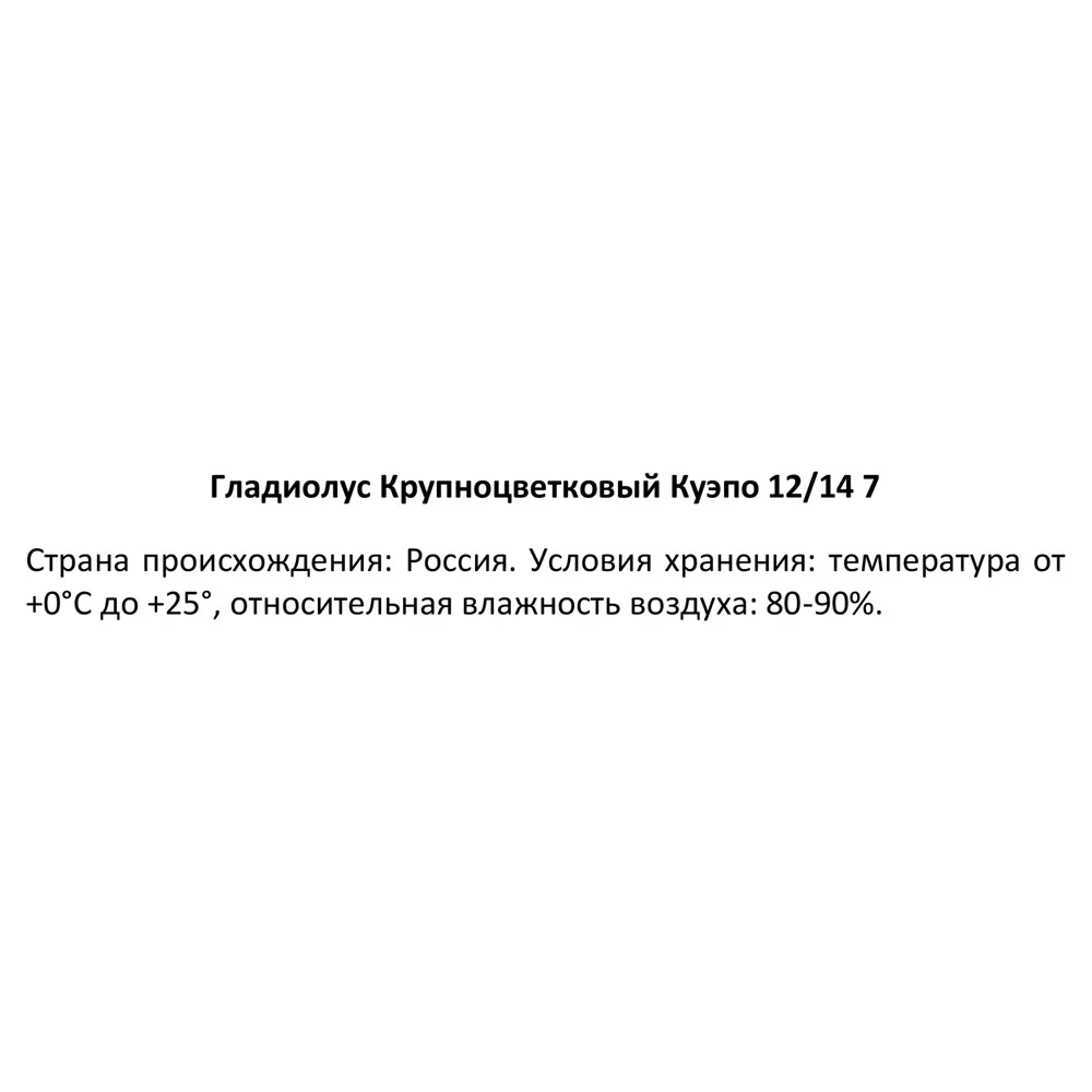 Фото 3 Гладиолус крупноцветковый Куэпо 100 мм Фото 3 Гладиолус крупноцветковый Куэпо 100 мм