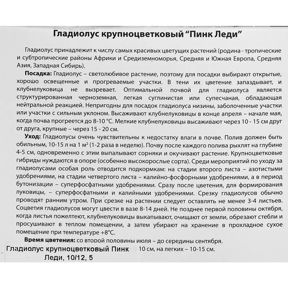 Фото 3 Гладиолус крупноцветковый Пинк Леди 100 мм