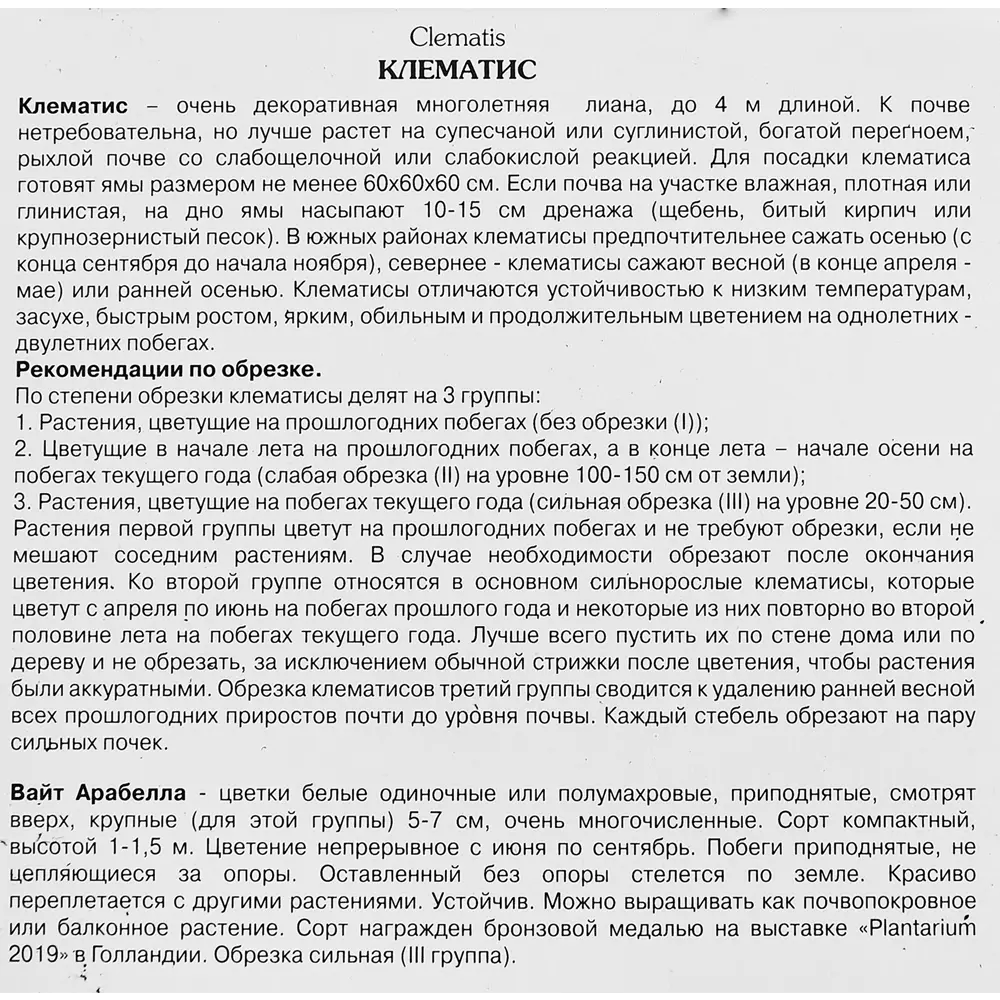 Фото 3 Клематис ботанический Вайт Арабелла ø5 h10 см Фото 3 Клематис ботанический Вайт Арабелла ø5 h10 см