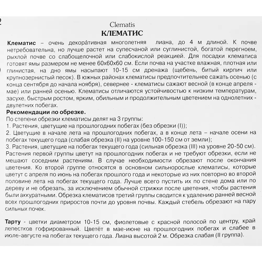 Фото 3 Клематис крупноцветковый Тарту ø5 h10 см Фото 3 Клематис крупноцветковый Тарту ø5 h10 см