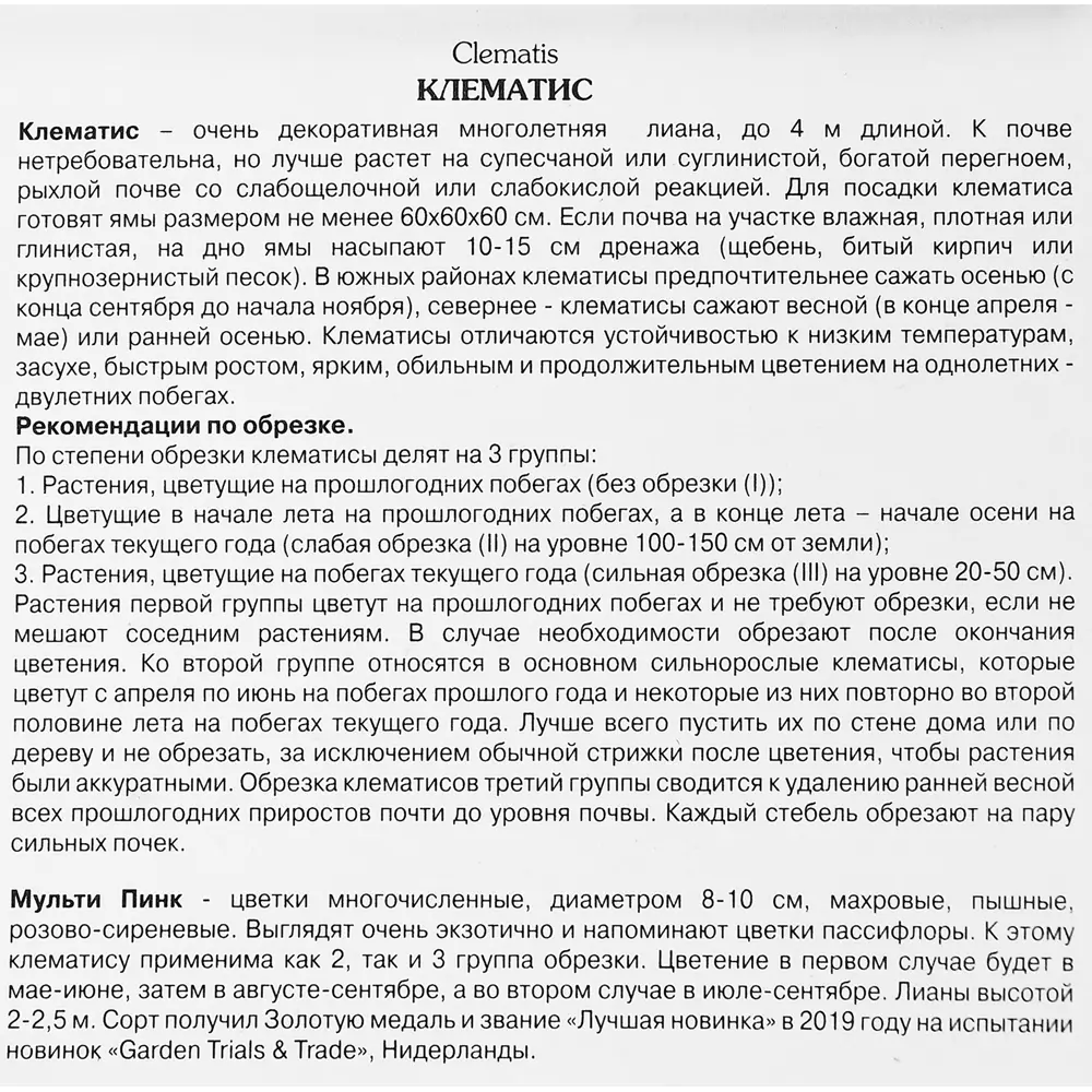 Фото 3 Клематис крупноцветковый Мульти Пинк ø5 h10 см Фото 3 Клематис крупноцветковый Мульти Пинк ø5 h10 см