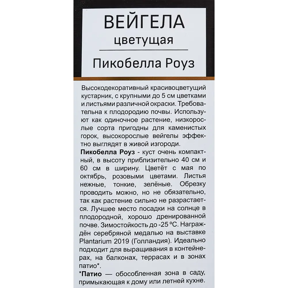 Фото 3 Вейгела цветущая Пикобелла Роуз ø5 h35 см Фото 3 Вейгела цветущая Пикобелла Роуз ø5 h35 см