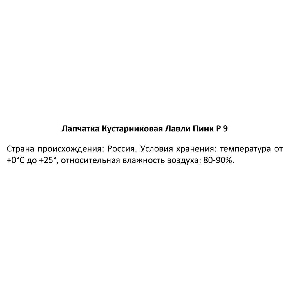 Фото 4 Лапчатка кустарниковая Лавли Пинк ø9 h30 см Фото 4 Лапчатка кустарниковая Лавли Пинк ø9 h30 см
