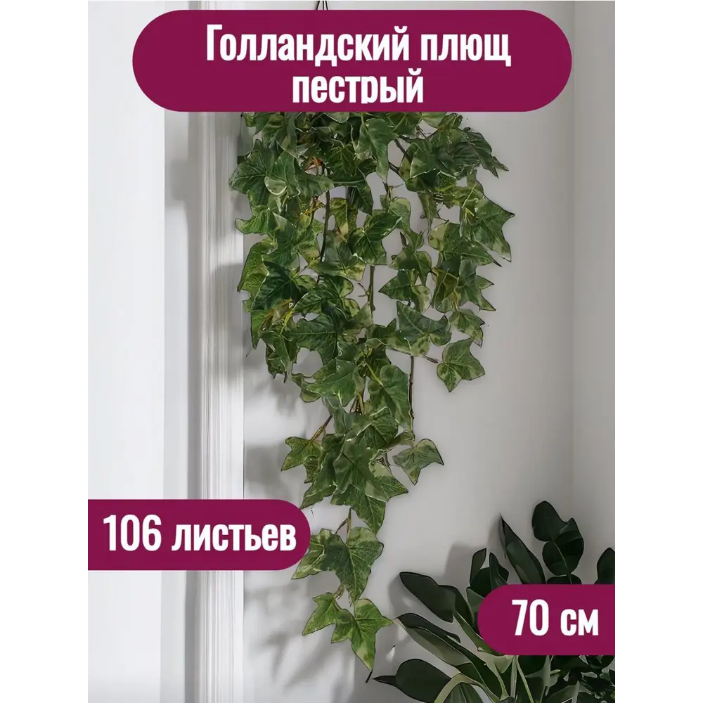 Фото Растение искусственное Голландский плющ пестрый 106 листьев 70 см Фото Растение искусственное Голландский плющ пестрый 106 листьев 70 см