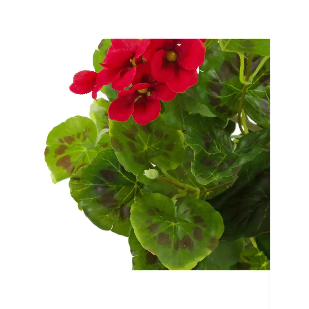 Фото 3 Растение искусственное Герань в кашпо H53 см красная