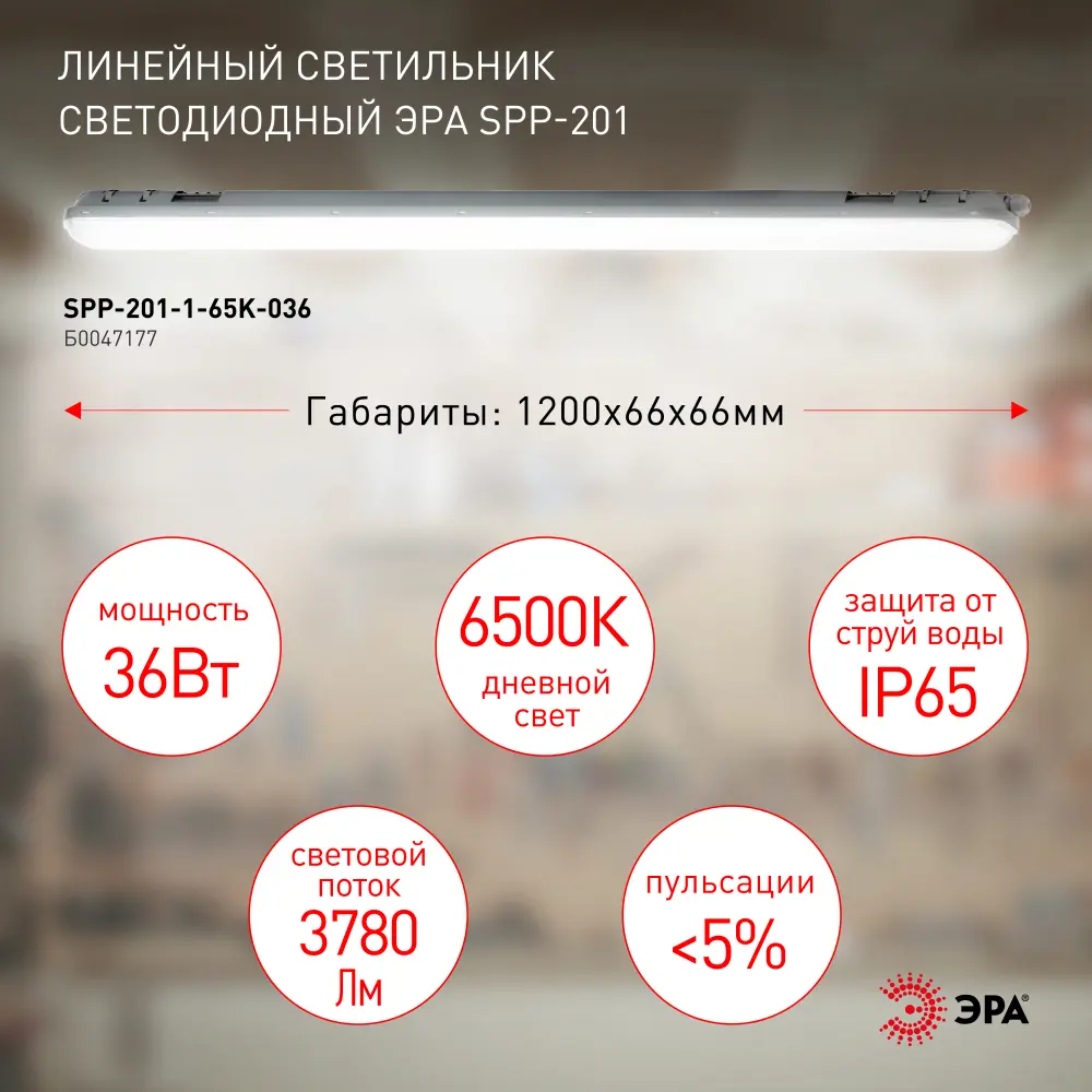 Фото 2 Светильник линейный светодиодный Эра SPP-201-1-65K-036 120 мм 36 Вт нейтральный белый свет Фото 2 Светильник линейный светодиодный Эра SPP-201-1-65K-036 120 мм 36 Вт нейтральный белый свет