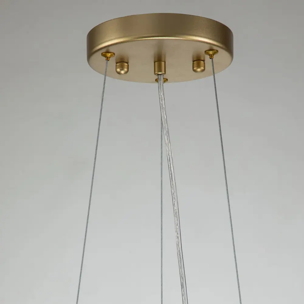 Фото 4 Люстра подвесная Favourite Rays 6041-14p 14 лампа цвет золотой