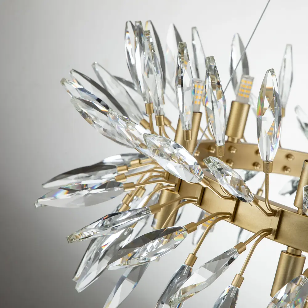 Фото 9 Люстра подвесная Favourite Rays 6041-14p 14 лампа цвет золотой