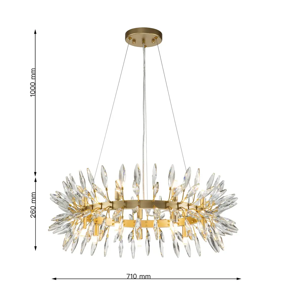 Фото 3 Люстра подвесная Favourite Rays 6041-14p 14 лампа цвет золотой