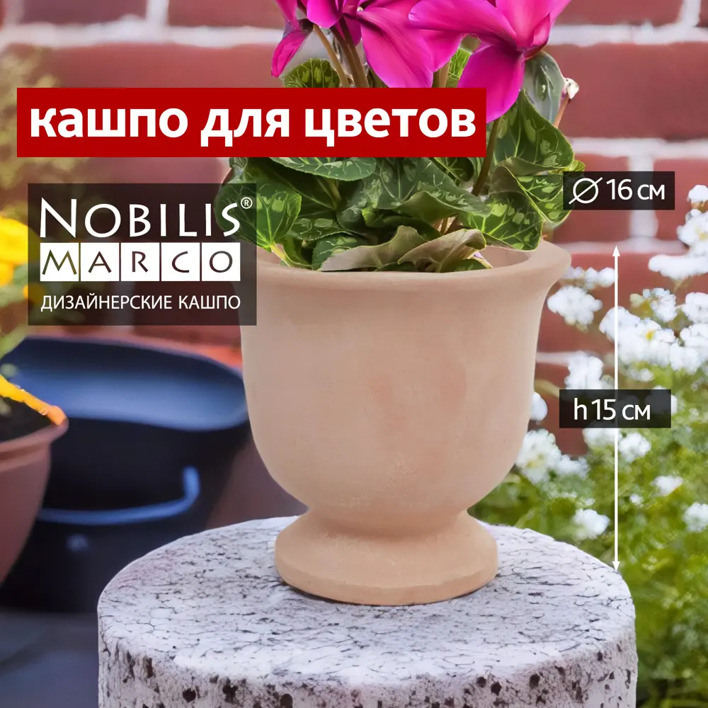 Фото Кашпо Terra Nobilis marco d 21 см 15 см 2.5 л керамика коричневый без автополива Фото Кашпо Terra Nobilis marco d 21 см 15 см 2.5 л керамика коричневый без автополива