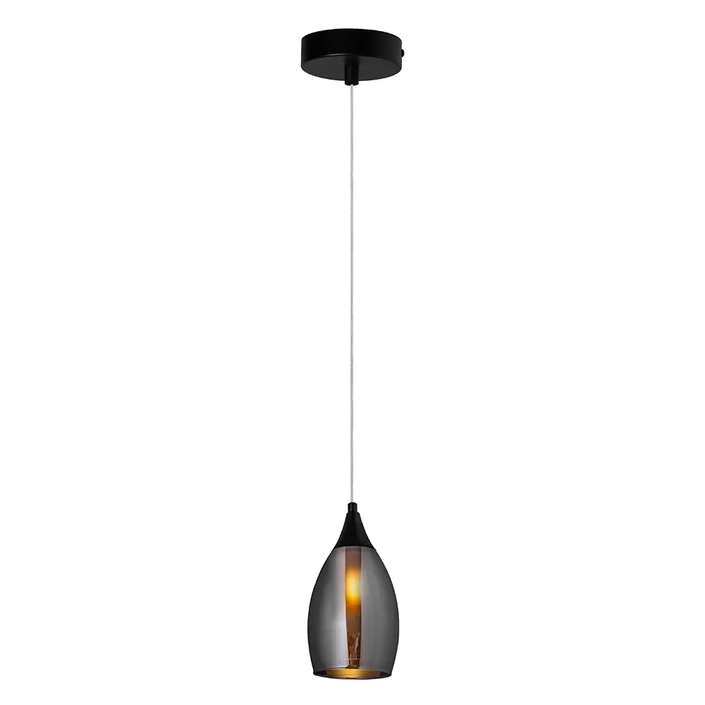 Фото Люстра подвесная Arte lamp Barry A7951sp-1bk 1 лампа 1 м² цвет черный Фото Люстра подвесная Arte lamp Barry A7951sp-1bk 1 лампа 1 м² цвет черный